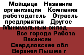 Мойщица › Название организации ­ Компания-работодатель › Отрасль предприятия ­ Другое › Минимальный оклад ­ 17 000 - Все города Работа » Вакансии   . Свердловская обл.,Верхняя Пышма г.